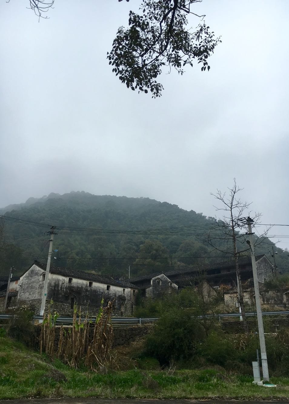 大溪边乡天气预报更新通知