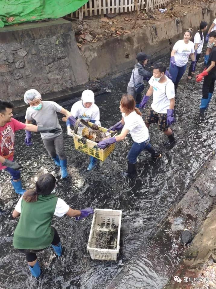 水沟村民委员会启动重塑乡村项目，迈向繁荣新篇章